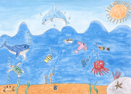 きれいなうみでおよぐさかなたち