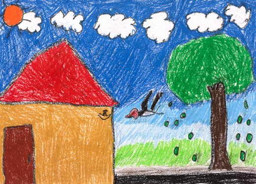 自然に生きている生きもの