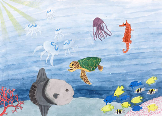 海の仲間達