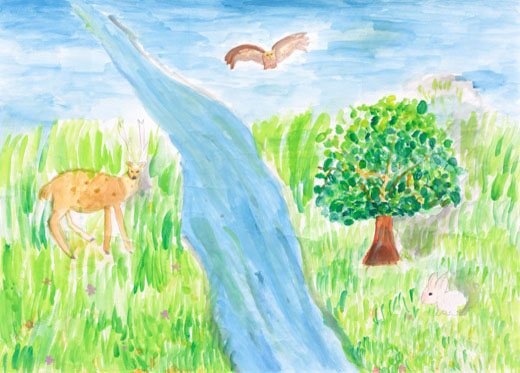 豊かな自然と動物たち