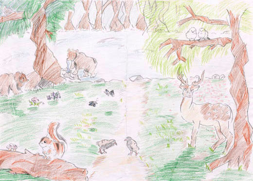 生き物がくらす森