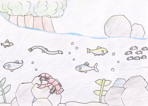 川の中の魚たち