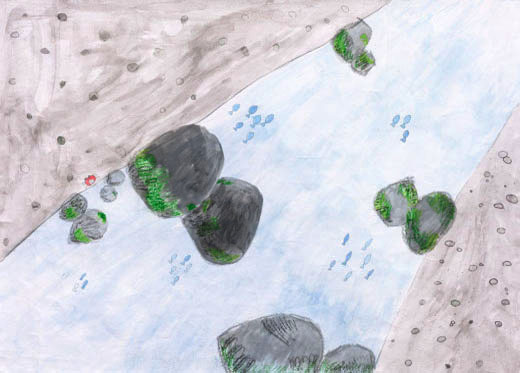 この川にくらす命