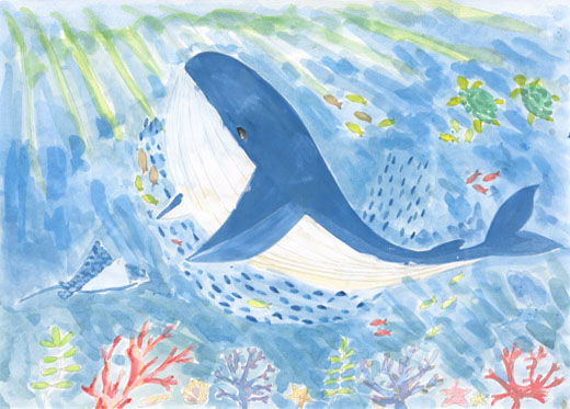 クジラの海