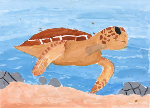 きれいな海で泳ぐ海亀