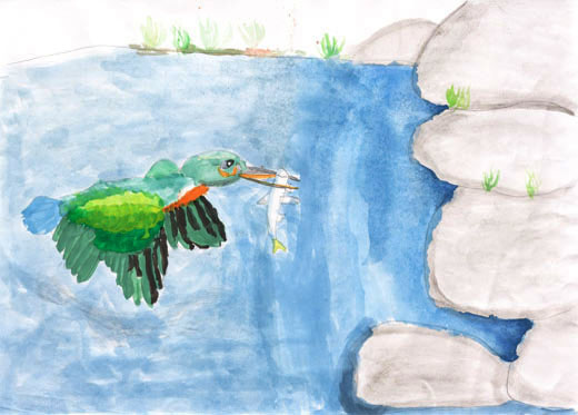 きれいな川とカワセミ