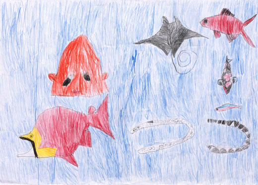 海と川といけの生活