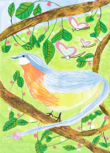 きれいな森にきれいな鳥がいる