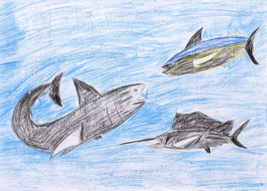 生き物たちのしぜん