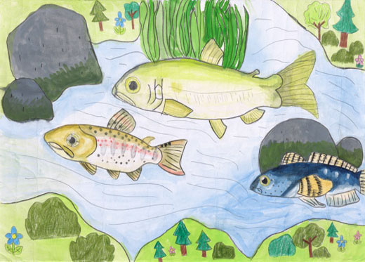 川の生きもの３びき