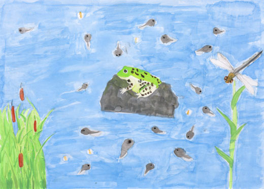 池の中の生き物たち