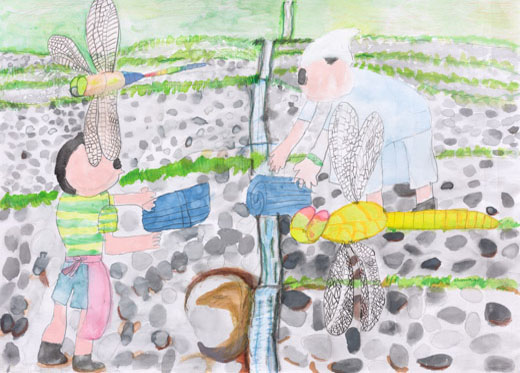 坂元棚田ととんぼ