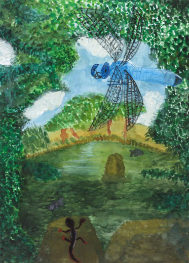 トンボのいる池