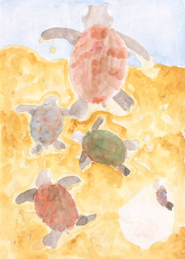 きれいな海の世界へ