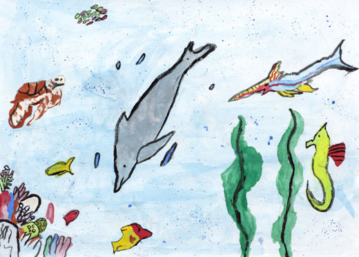 きれいな海にすんでいる生きものたち