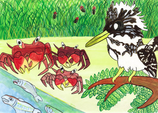 きれいな川に住む生き物