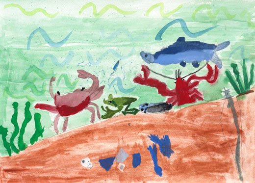 水の中の生き物