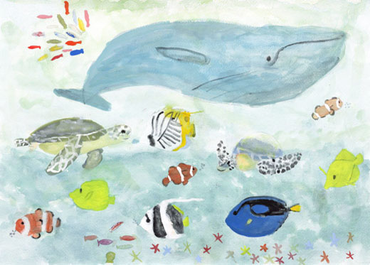 きれいな海と魚たち