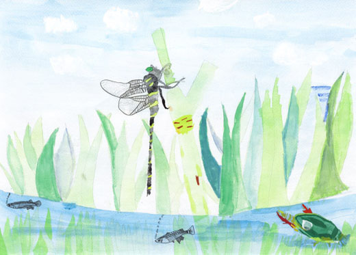 生きものの環境