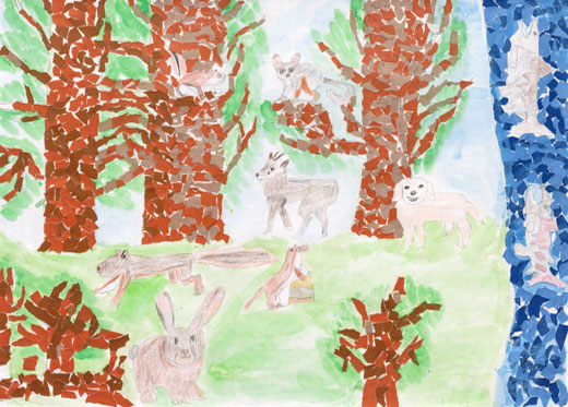 ワイワイ楽しい森林