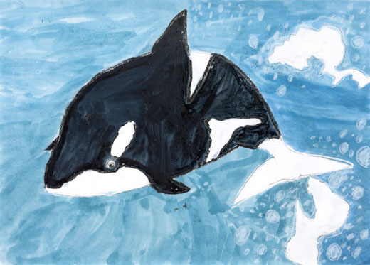 シャチが元気にとびはねる