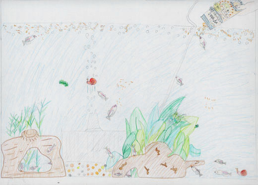 わたしたちのめだか