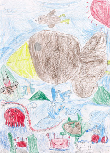 海の生きものと空の生きものたち