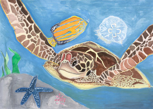 きれいな海の町