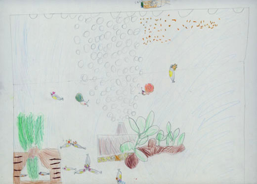 げんきなめだか