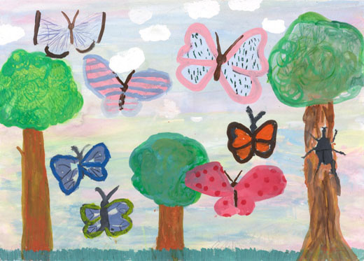 きれいなチョウチョ