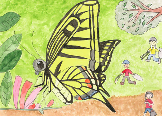 キレイな環境とチョウ