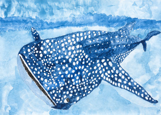 きもちよくおよぐじんべいざめ