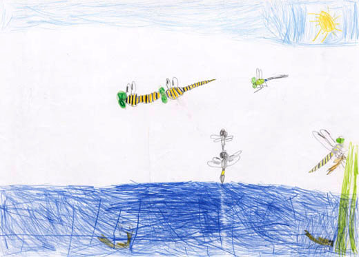 トンボのくらしているところ