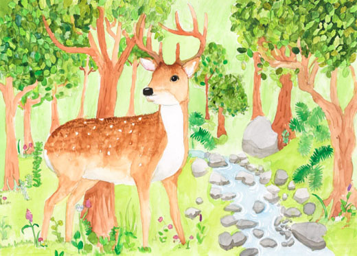 壊してはいけない森の環境