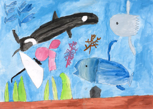 元気にくらす魚たち