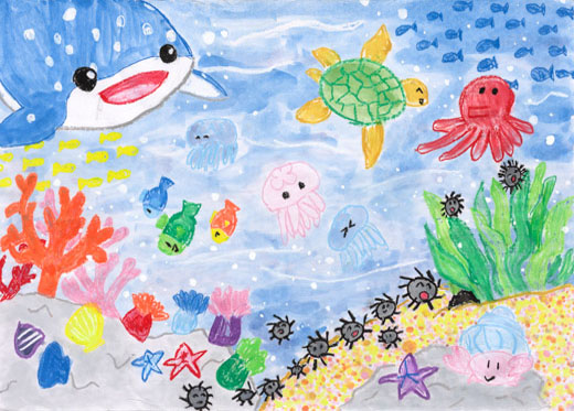 きれいな海の生きものたち