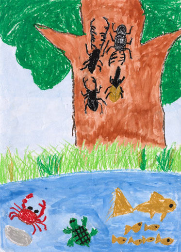 世界の虫と生き物