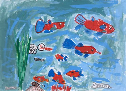 さが川にすむメダカのかぞく