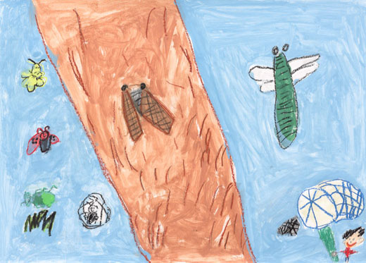 だいすきなむしみつけたよ！