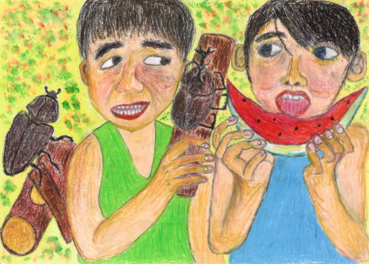 かぶと虫とすごす夏