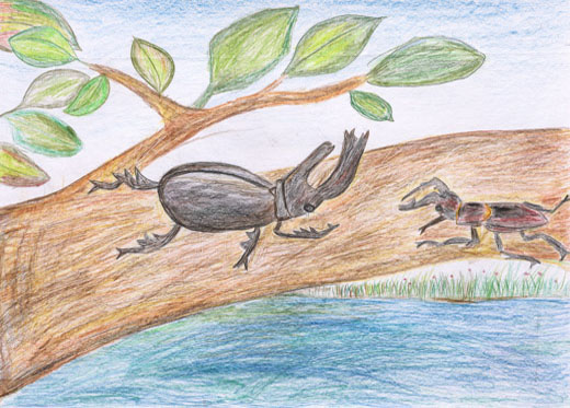 もりのたからもの