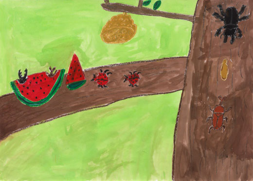 カブトムシとクワガタ