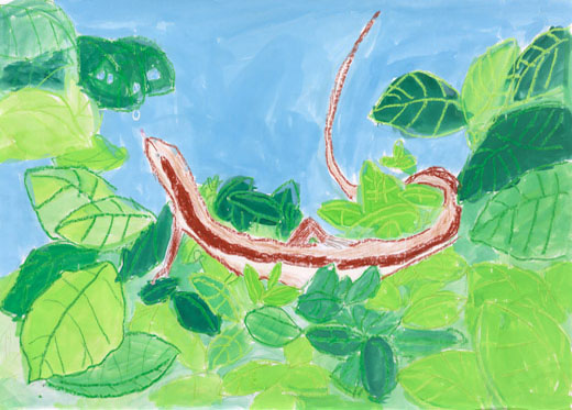 水をのむカナヘビ