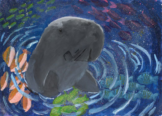 ジュゴンとの仲間たち