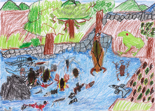 自ぜんと生きもの