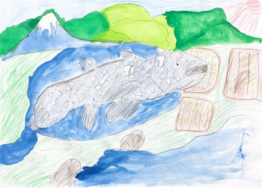 空を泳ぐシーラカンス