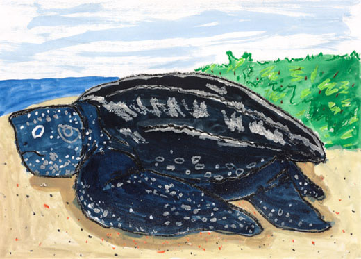 ゴミをへらすど力をしよう