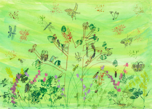 豊かな自然と生きもの