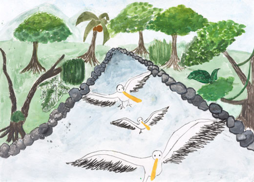 鳥たちが自由にとべる自然