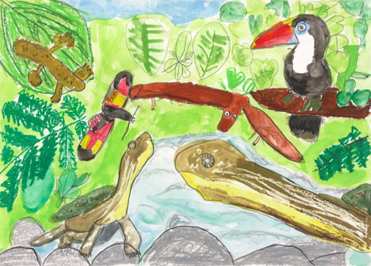 熱帯雨林の生き物